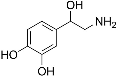 [DIAGRAM] Naming Compounds Diagram - MYDIAGRAM.ONLINE