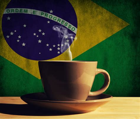 A Comprehensive Guide to Brazilian Coffee Beans - Coffee Dusk