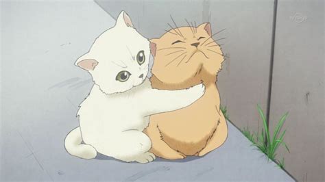 Today’s anime cats of the day are: These two... - Anime Cat of the Day 🐾