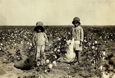 Cotton Picking Children 1916 Photograph by Daniel Hagerman