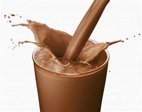 PREPARATION OF CHOCOLATE MILK - AgriMoon.Com