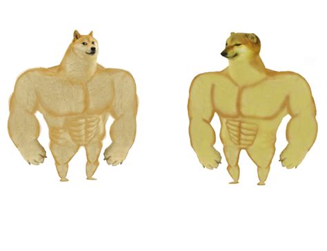 Buff doge vs buff cheems Meme Generator