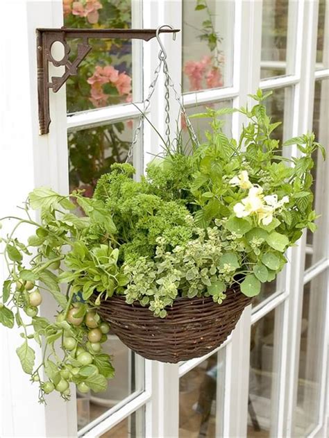 10 DIY Hanging Basket Vertical Garden