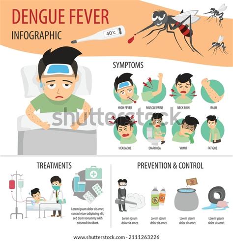 Dengue Fever Infographic Royalty-Free Images, Stock Photos & Pictures ...