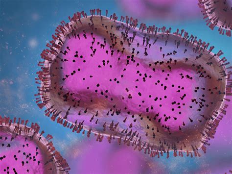 Vesicular Stomatitis Virus (VSV) Packaging | AMSBIO