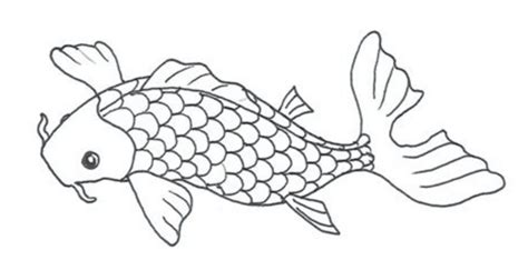 Download Sketsa Gambar Ikan Koi dan Terapkan 6 Tips Ini