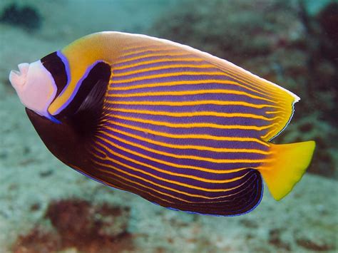 Cairns Aquarium - Adventure Cairns