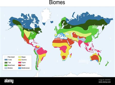 Map of mediterranean biome Cut Out Stock Images & Pictures - Alamy