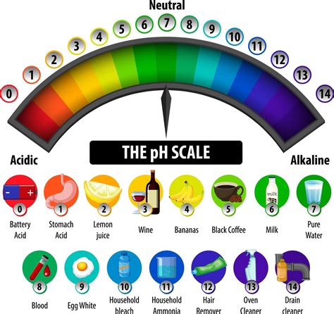 The pH Scale diagram on white background 2988621 Vector Art at Vecteezy