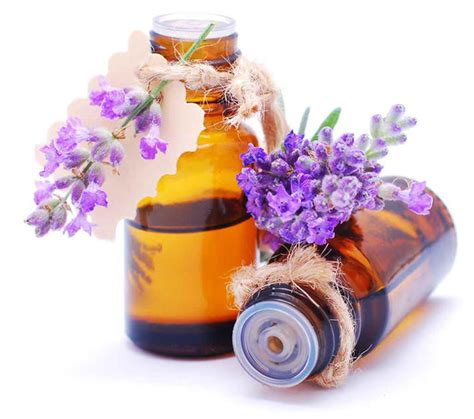 8 Types of Lavender Essential Oil