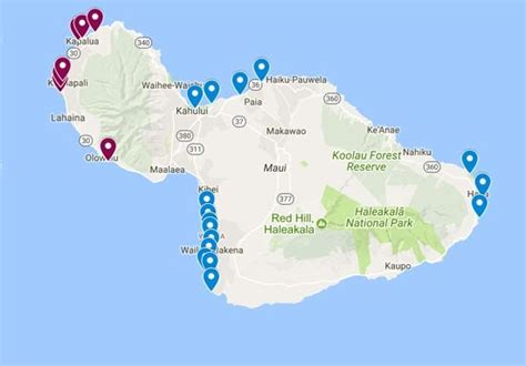 The Best Beaches In Maui | Hawaii Travel Guide