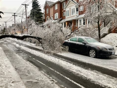 Take a look at what Wednesday's April ice storm did to the region | CBC ...