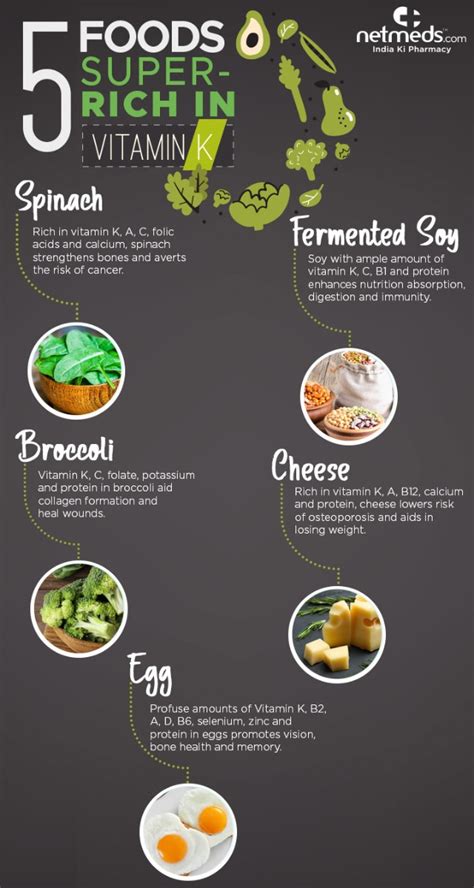 5 Foods Plentiful in Vitamin K That Promotes Overall Health - Infographic