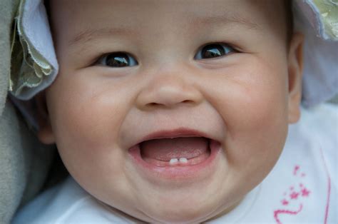 Teething: What You Should Know About Baby's First Tooth – Facts & Myths