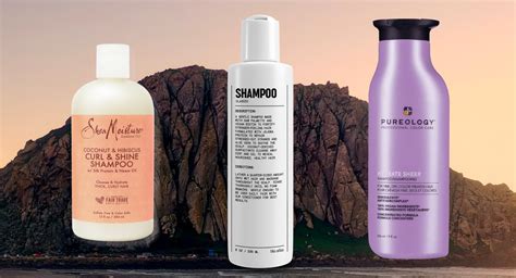 Best Drugstore Shampoo For Oily Dandruff Hair at Rosemary Sparrow blog