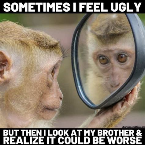 Funny Monkey Memes For Monkey Day 2020 - Digital Mom Blog