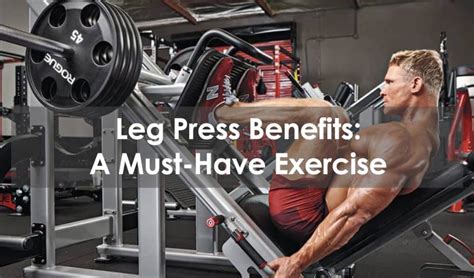 Leg Press Benefits: A Must-Have Exercise