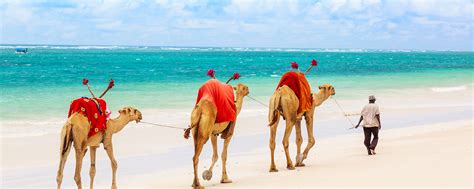 Kenya Beach Holiday (Book Your Dream Beach Holiday)