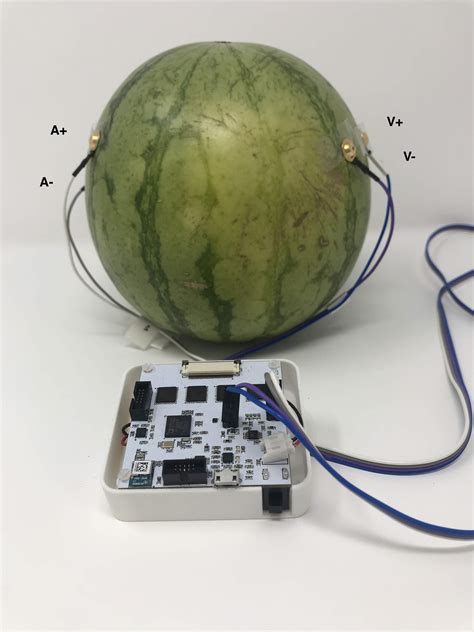 Tutorial 2 - Bioimpedance Spectroscopy — OpenEIT 1.0.0 documentation