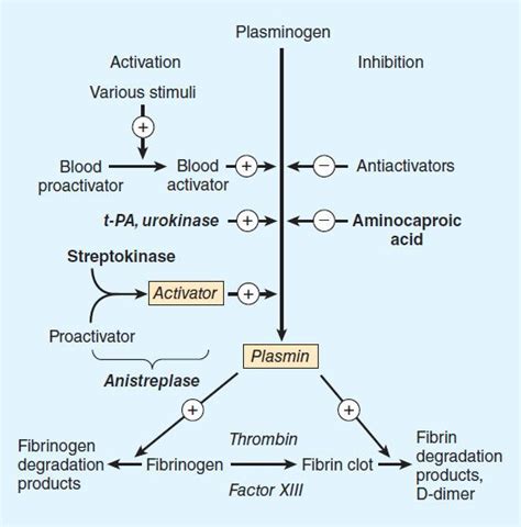 Drugs Used in Disorders of Coagulation | Basicmedical Key