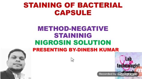 Bacterial capsules demonstration | Negative staining method | stain of ...