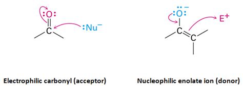 Carbonyl Condensation Reactions | Wyzant Resources