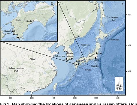 Figure 1 from Evaluating the Phylogenetic Status of the Extinct ...