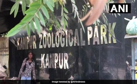 Kanpur Zoo Closed Until Further Orders In View Of Bird Flu Outbreak