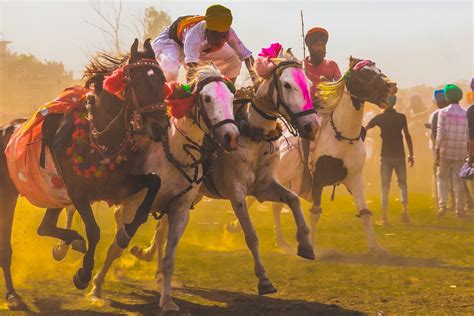 #FACES | The Vibrant Spirit of The Sikh Hola Mohalla Festival in Punjab ...