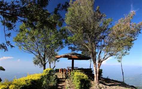 5 best hiking trails in Sri Lanka - Nature's Trails