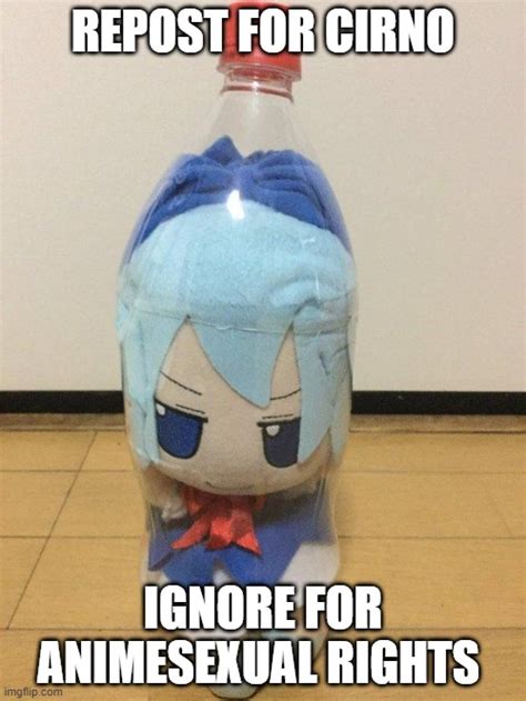 cirno fumo in bottle Memes - Imgflip