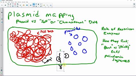 Introduction to Plasmid Mapping - YouTube