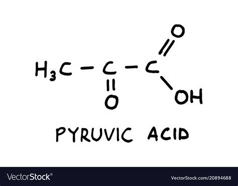 Pyruvic acid structural formula Royalty Free Vector Image