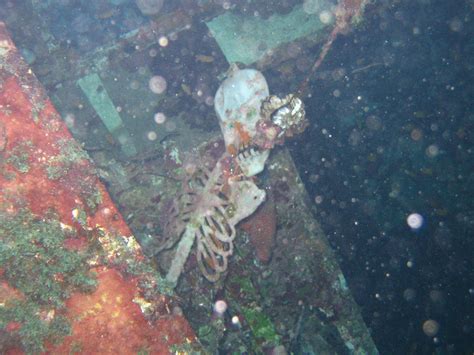 Look Inside Sunken Submarines Found