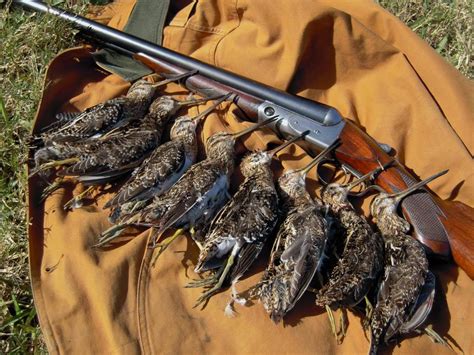 Snipe Hunting Is Real [VIDEO] — The Hunting page