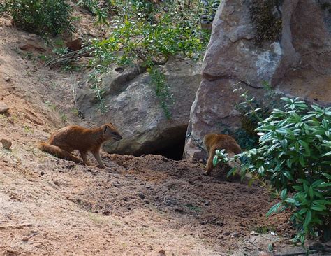 Local destination Nuremberg Zoo in Nuremberg - DOATRIP.de