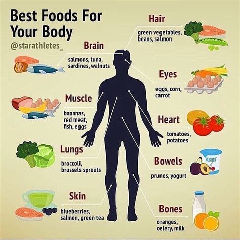 Daily Nutrition Fact on Instagram: “BEST FOODS FOR YOUR BODY ...