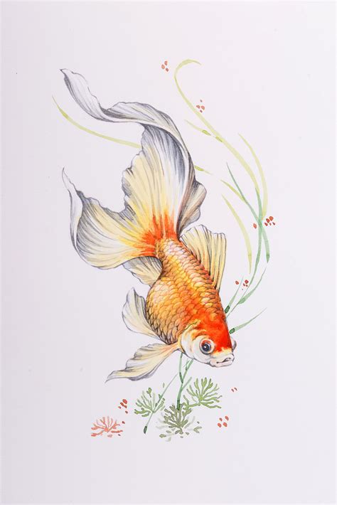 √ Aquarell Fische Malen | Fischlexikon