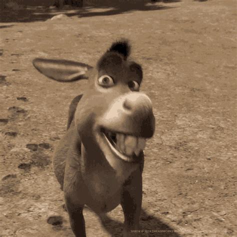 Donkey Smile GIF – Donkey Smile Shrek – discover and share GIFs