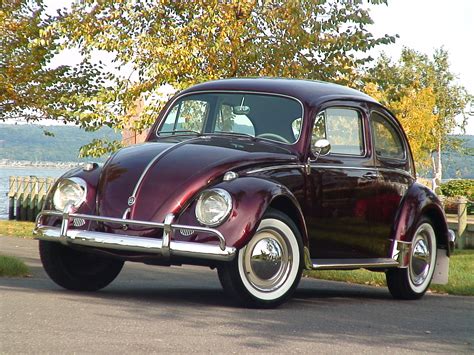 *1960 STUNNER VW Beetle BuG Sedan* - Classic VW Beetles & BuGs ...