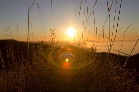 Lens Flare Photography Tips - What is lens flare