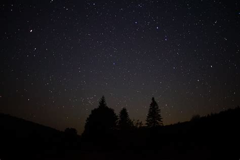 File:Night-sky-stars-forest-trees - West Virginia - ForestWander.jpg