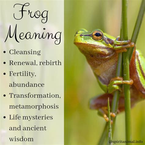 Frog Spirit Animal | Totem Meaning | Animal spirit guides, Spirit ...