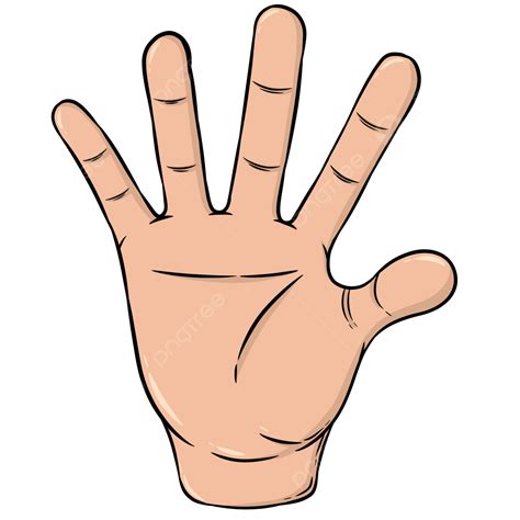 Hand Palms, Hand, Palm, Human Hand PNG Transparent Clipart Image and ...