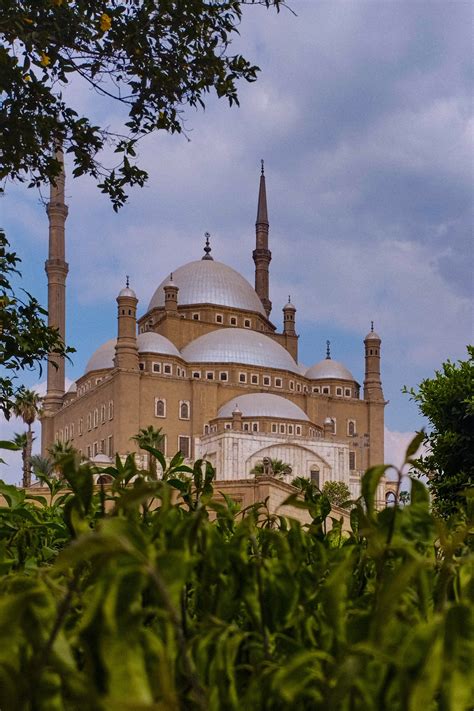 Cairo Citadel: An Ultimate Local's Guide