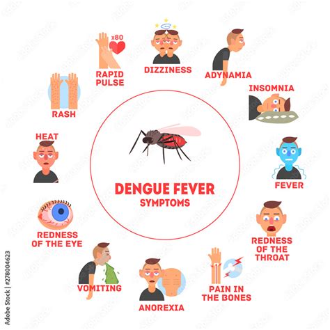 Dengue Fever Symptoms Information Banner Template Vector Illustration ...