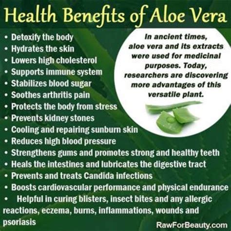 Aloe Vera vs. Coconut Oil: Benefits and Uses! Which Is better? - Bellatory