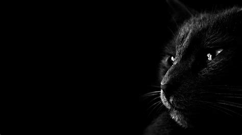 Dark Wallpapers HD Desktop Backgrounds Images and Pictures | Black cat ...