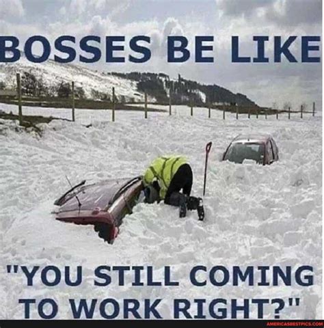 Brrrr! Funny Snow Memes For The Winter of 2024