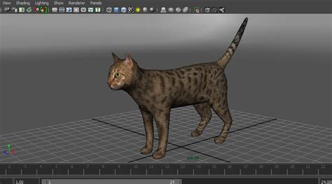 3D cat animations | 1142776 | TurboSquid